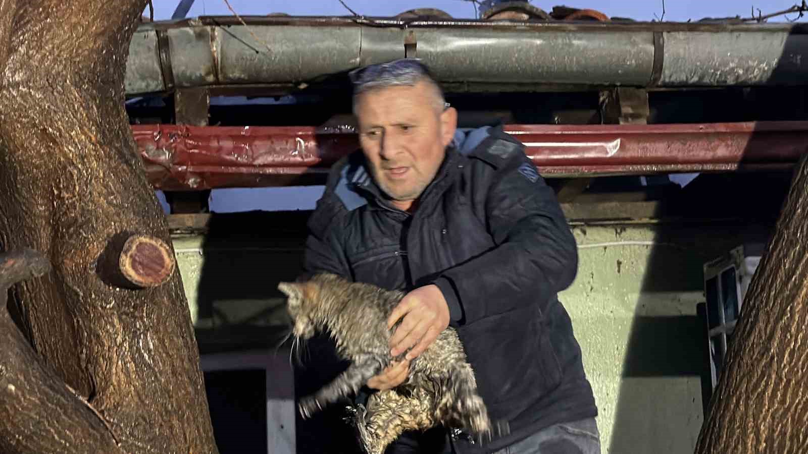 Kediler üşümesin diye yakılan soba faciaya dönüştü: İki ev küle döndü