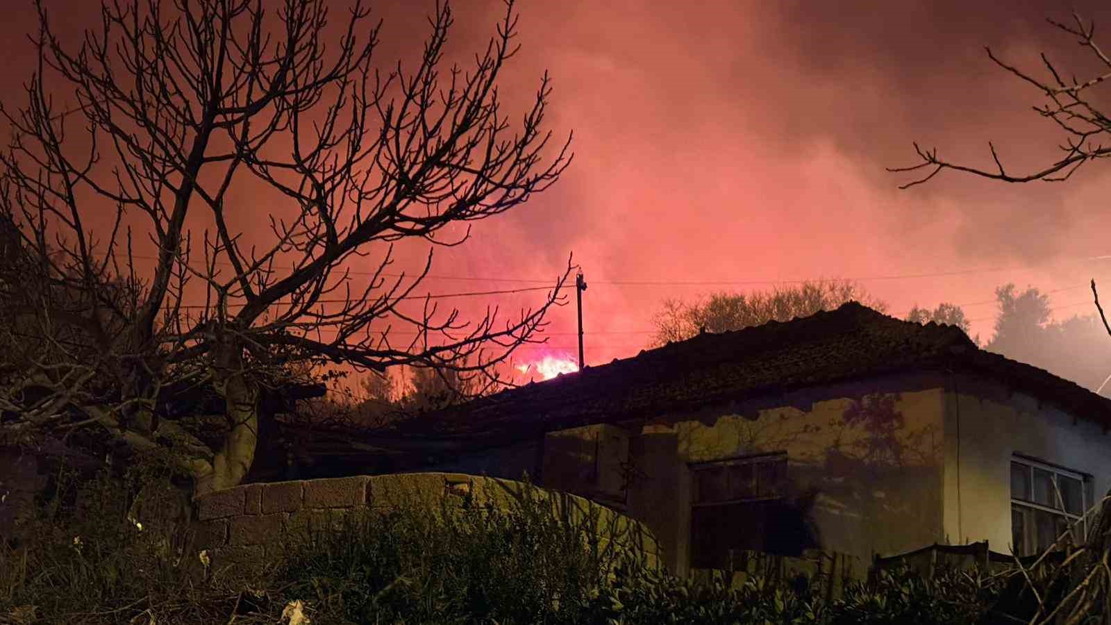 Antalya’da evleri tehdit eden orman yangını kontrol altına alındı