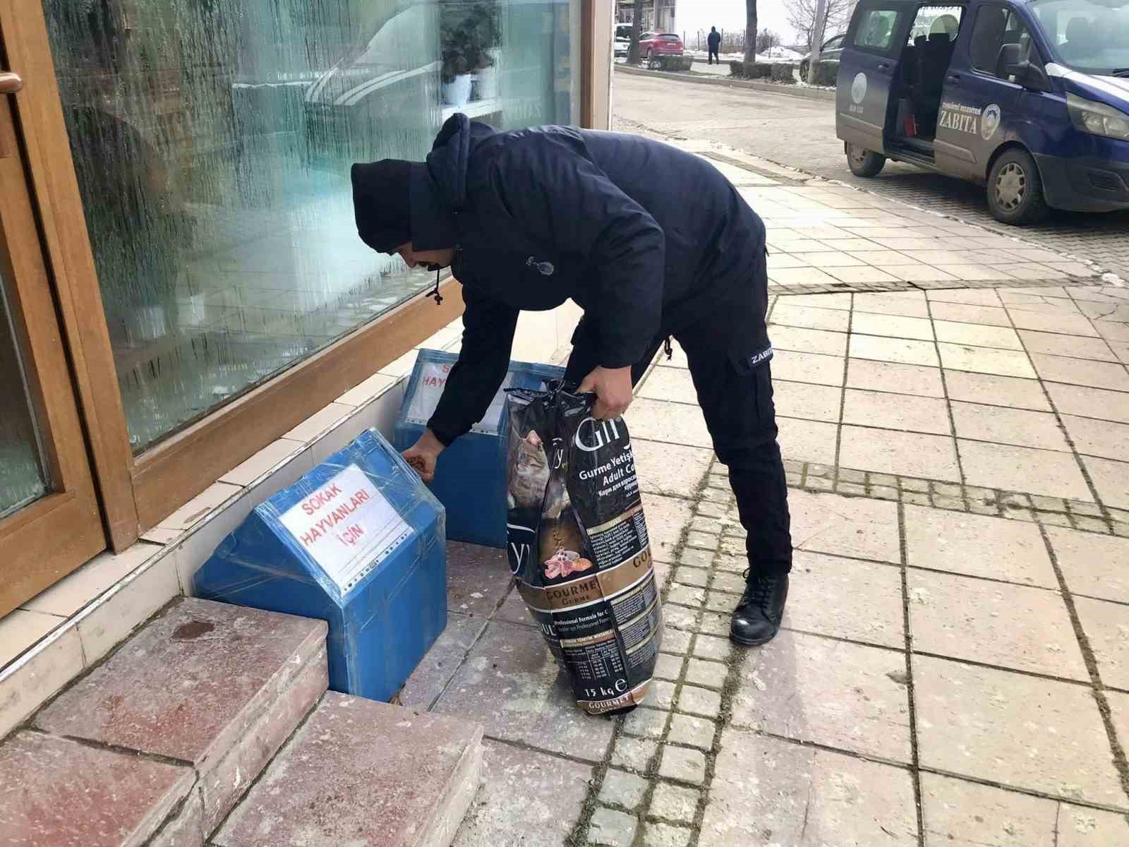 Taşköprü Belediyesi sokak hayvanlarını unutmuyor