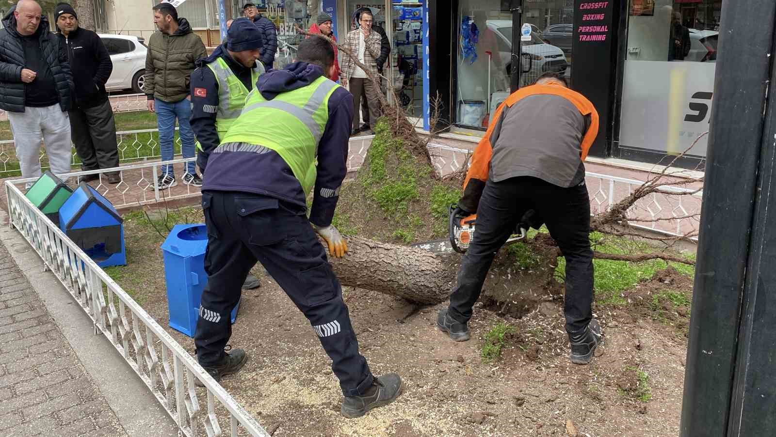 Eskişehir’de fırtına sebebiyle ağaçlar devrildi