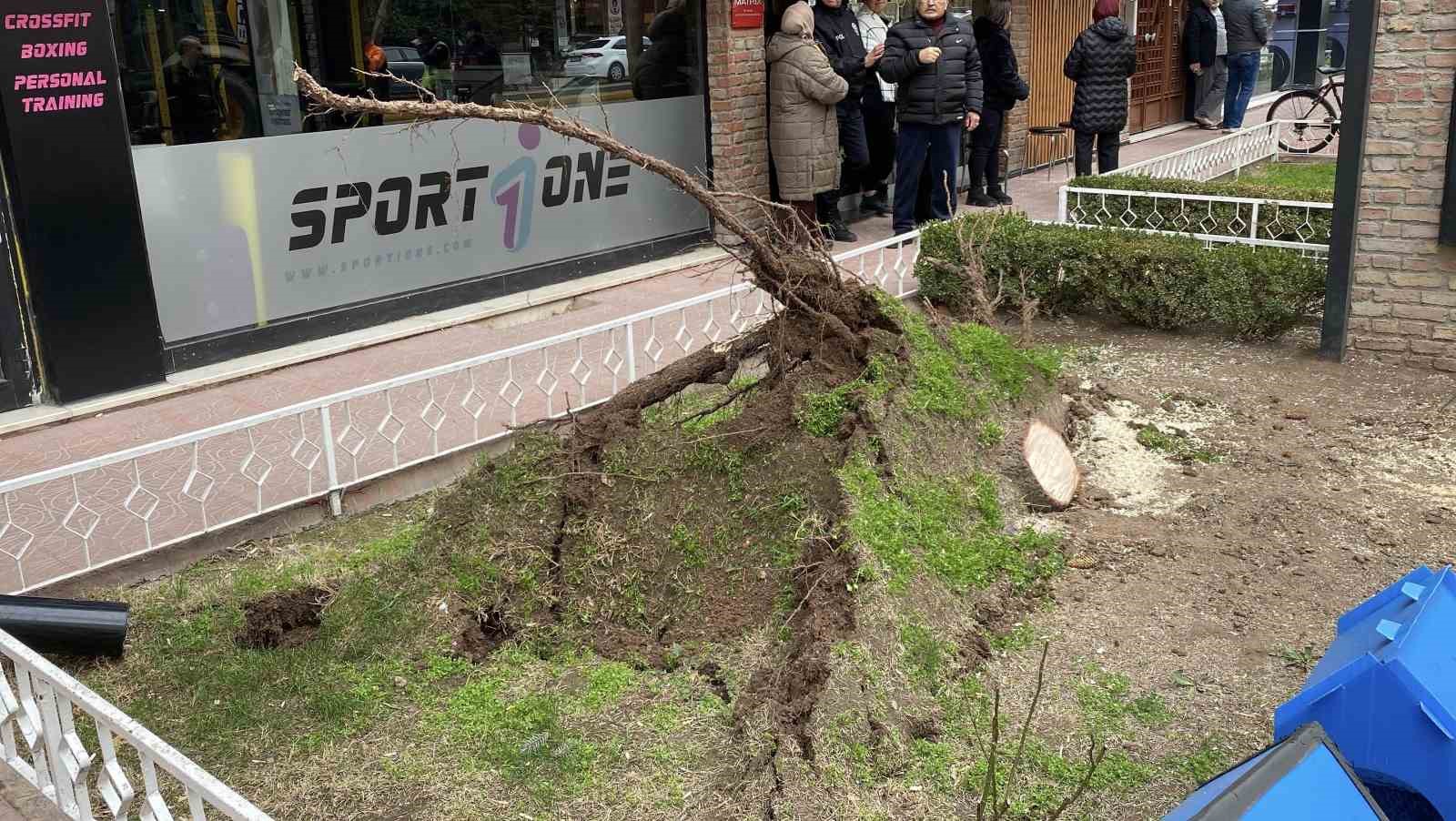 Eskişehir’de fırtına sebebiyle ağaçlar devrildi