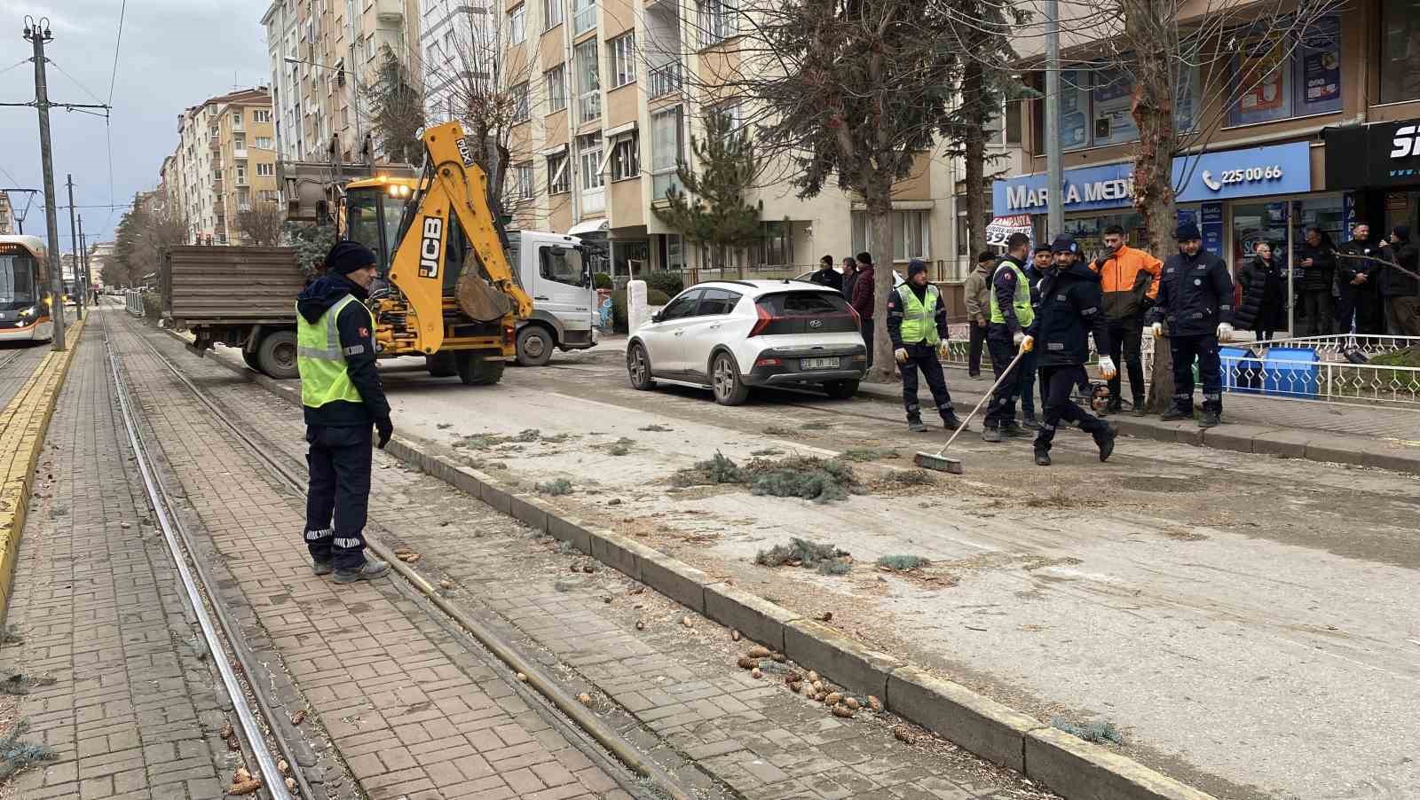 Eskişehir’de fırtına sebebiyle ağaçlar devrildi