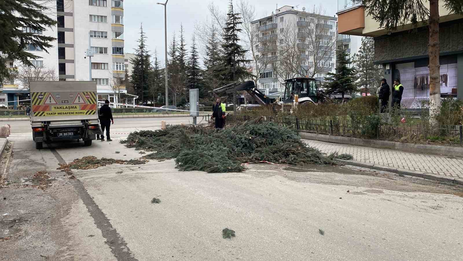 Eskişehir’de fırtına sebebiyle ağaçlar devrildi