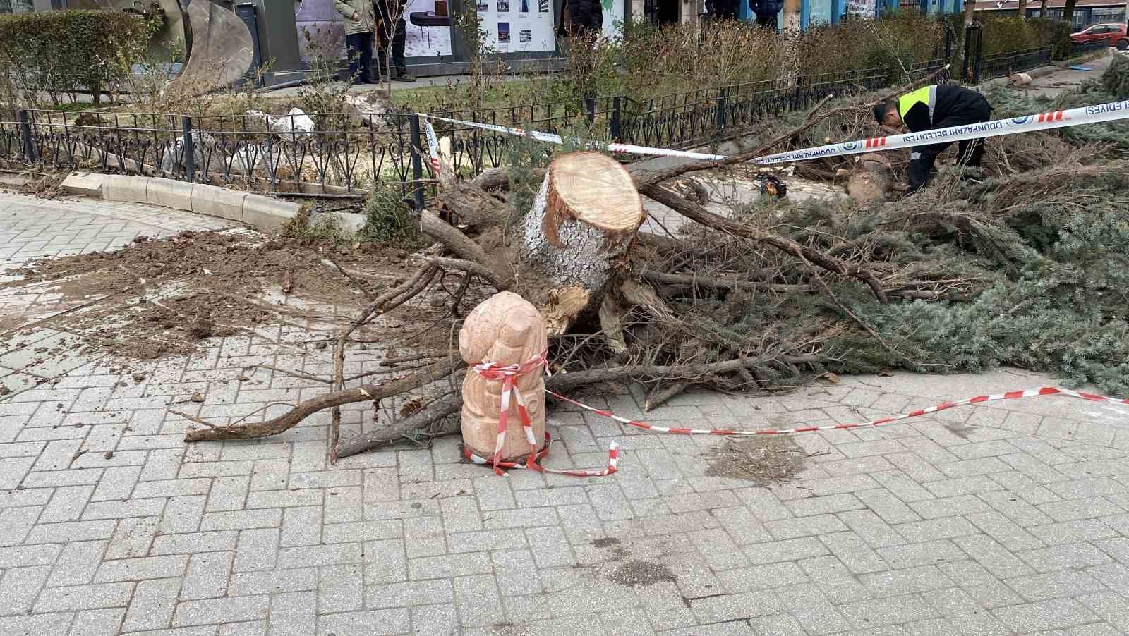 Eskişehir’de fırtına sebebiyle ağaçlar devrildi