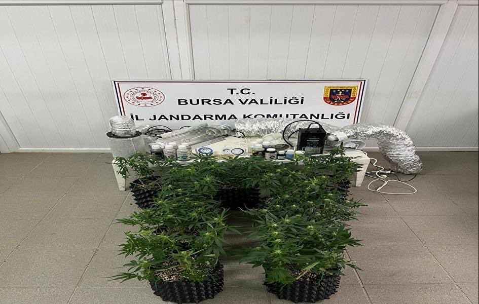 İnegöl’de uyuşturucu operasyonu: Evde esrar üretim düzeneği ele geçirildi