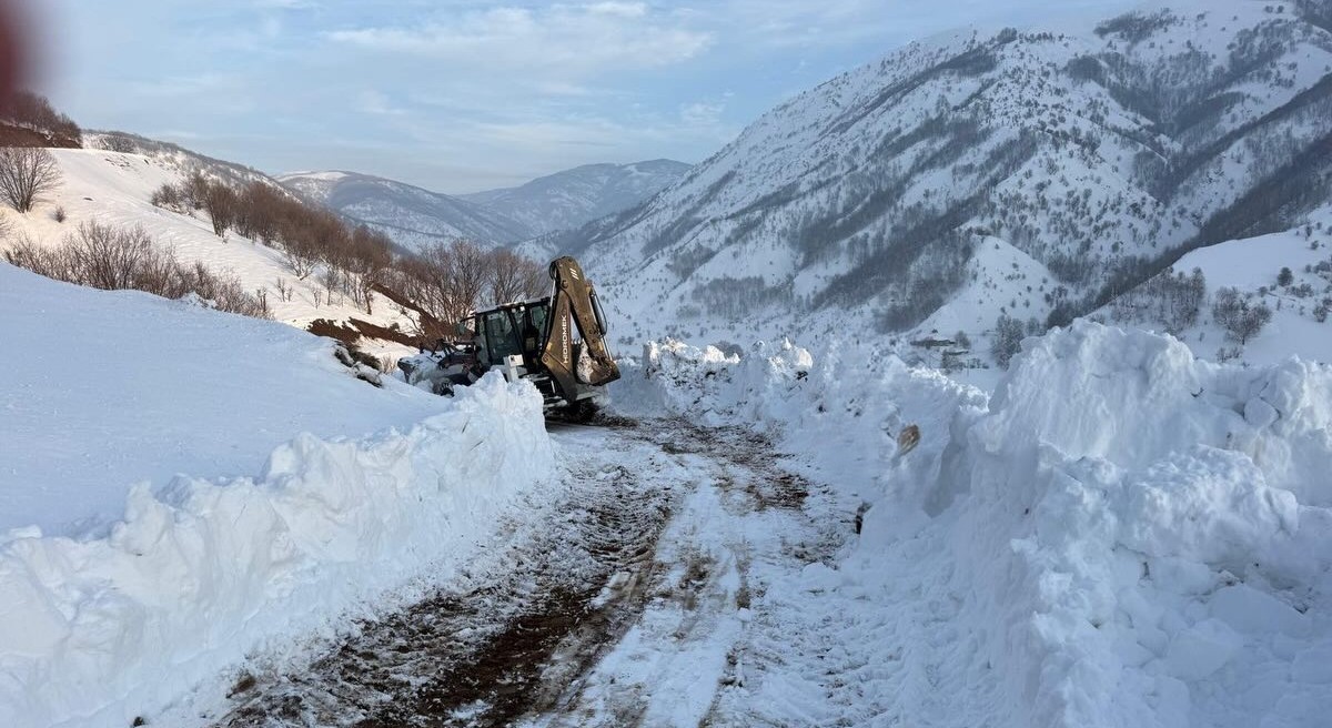 Kulp’ta kış yüzünü sert gösterdi