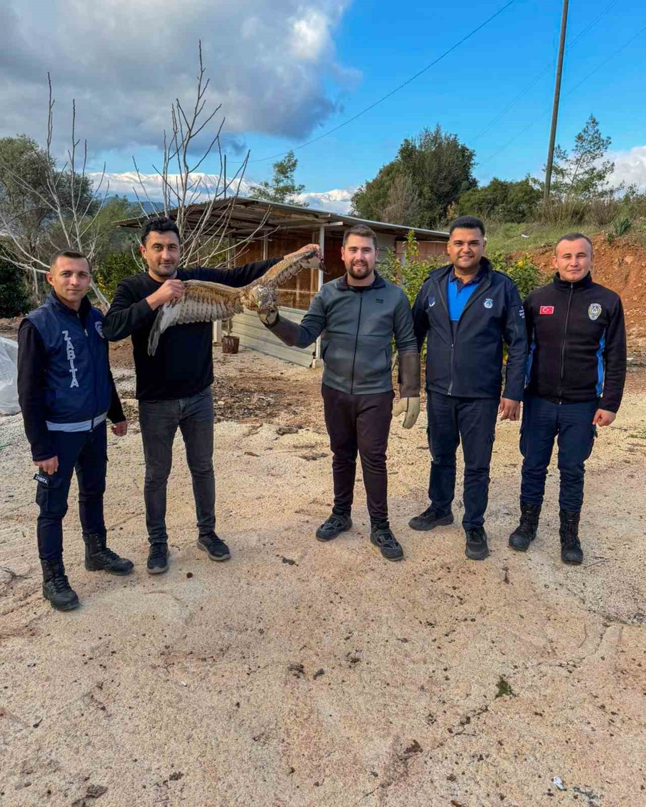 Kumluca’da yaralı atmaca tedavisi sonrası doğaya bırakıldı