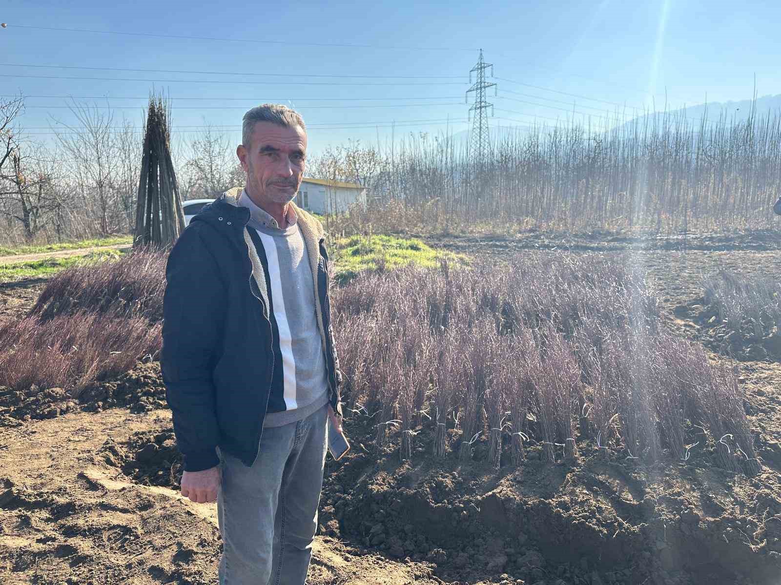 Kurulan her meyve bahçesinde “Bursa” imzası var