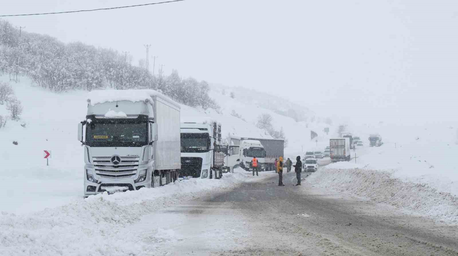 Muş-Bingöl kara yolunda kar engeli: 60 araç ve 140 kişi kurtarıldı