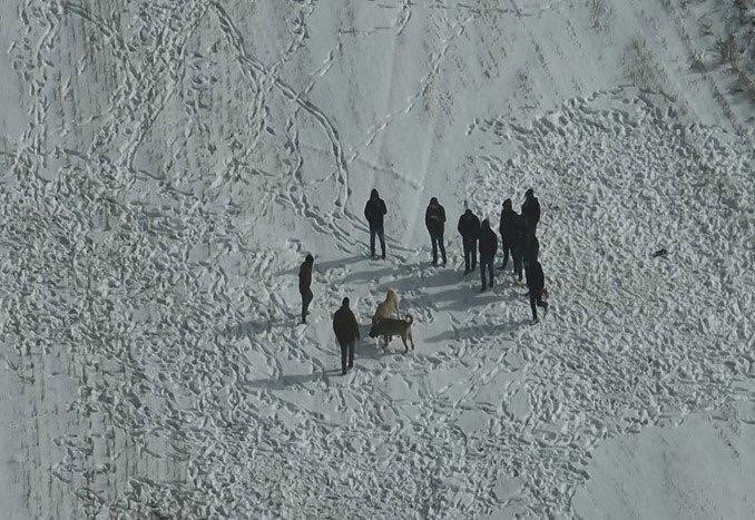 Nevşehir’de köpek dövüşüne jandarma baskını