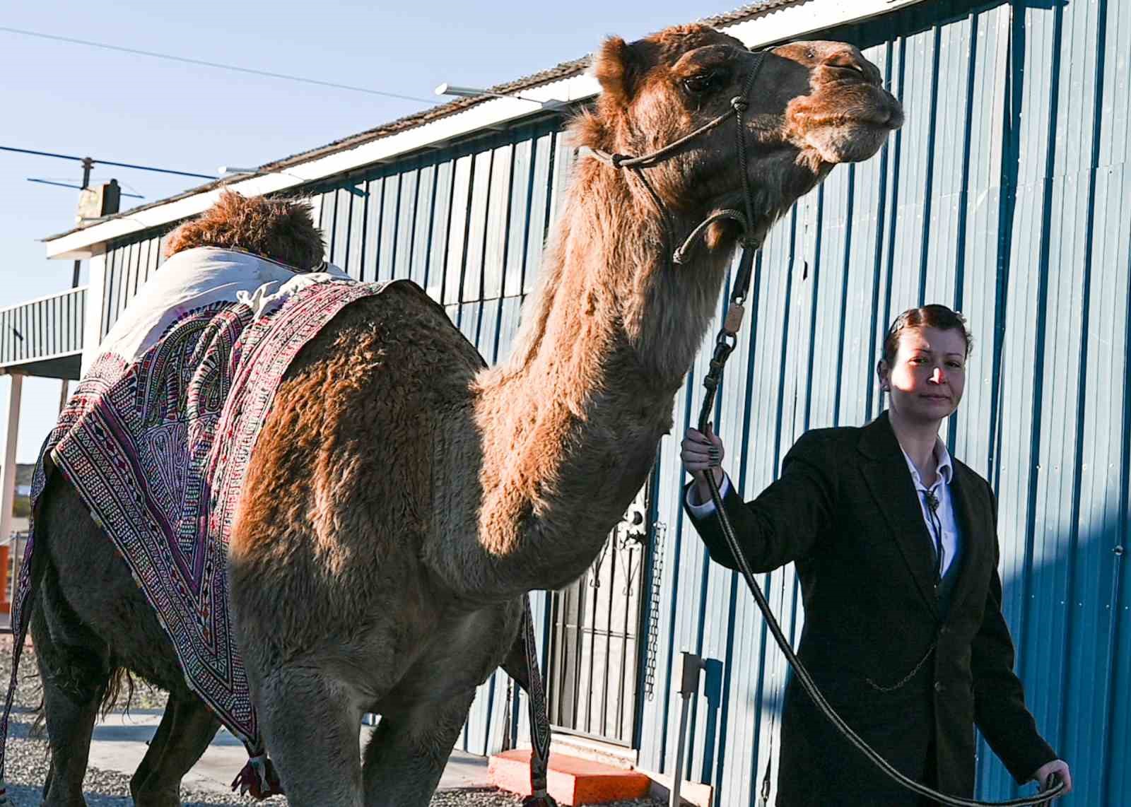 Sanatçı Mertcan Türkoğlu, Hi Jolly’nin Arizona’daki anıt mezarı başında anıldı