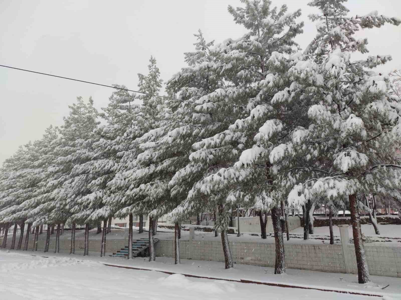 Sason’da yoğun kar yağışı hayatı olumsuz etkiliyor