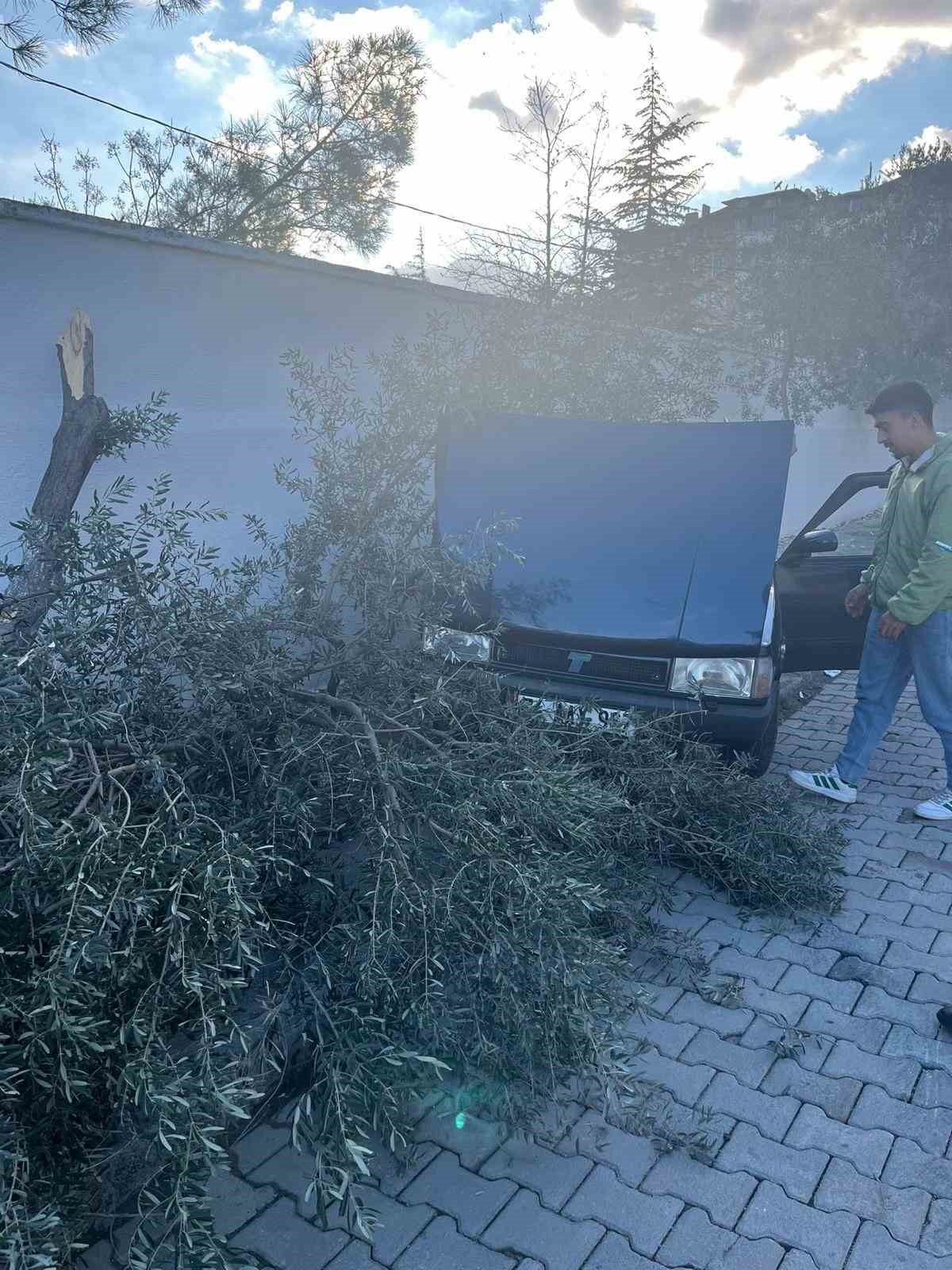 Süratli otomobil önce ağaca sonra duvara çarptı