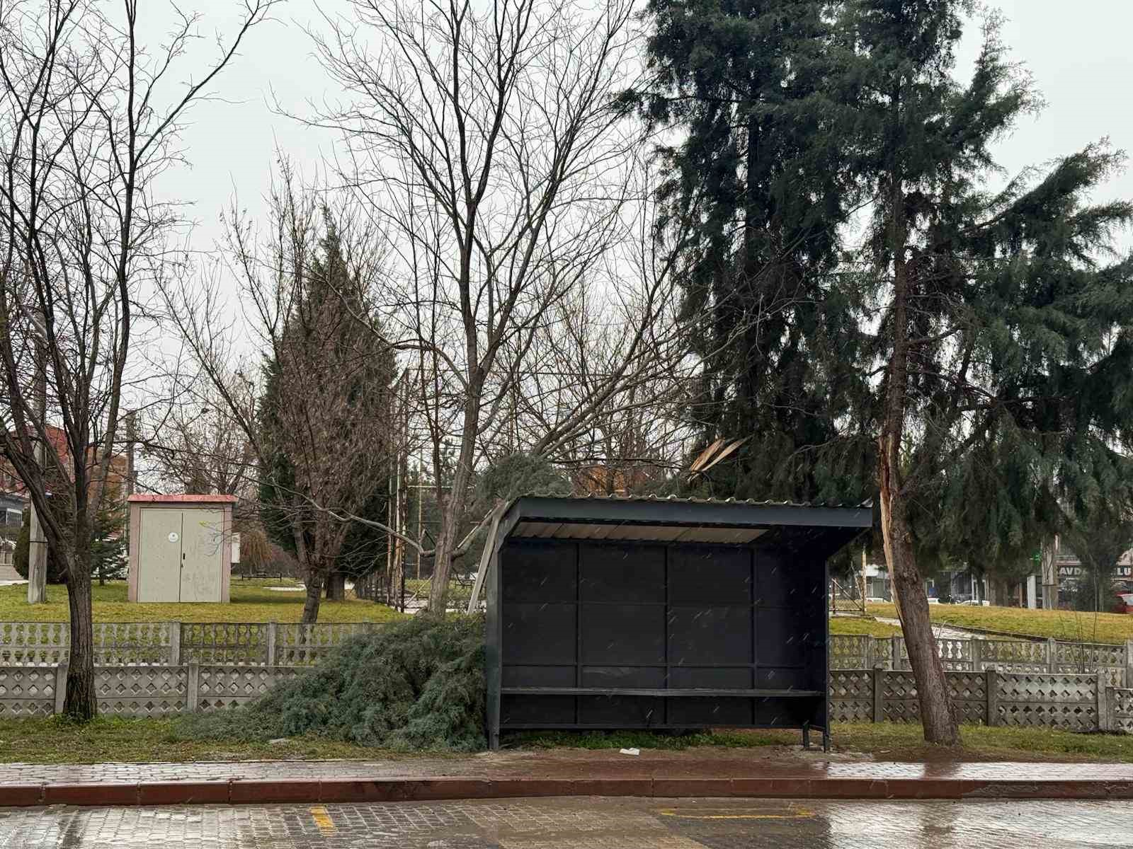 Tavşanlı’da şiddetli rüzgar ağaç devirdi