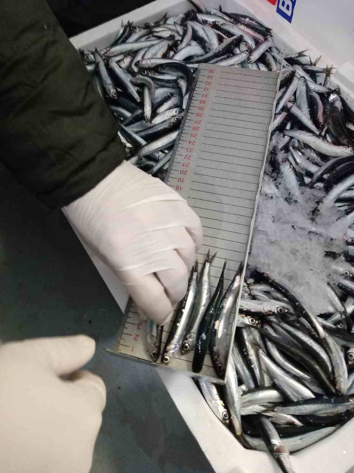 Trabzon’da 2025 yılında su ürünleri denetimlerinde 43 kişiye 3,2 milyon TL para cezası